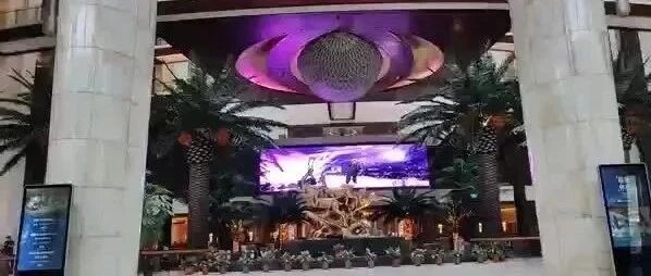 闪耀！旅德华人医师学者协会第三届国内研讨会圆满落幕！